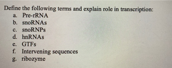 define ribozyme