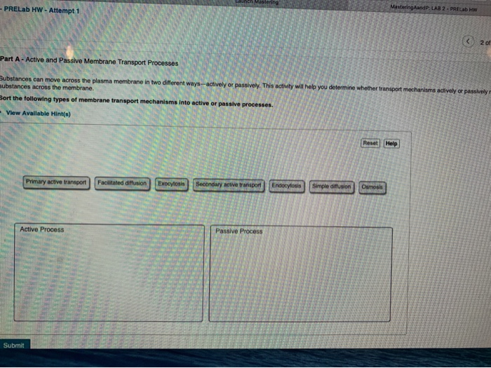 solved-prelab-hw-attempt-1-mastering-aandp-lab-2-chegg