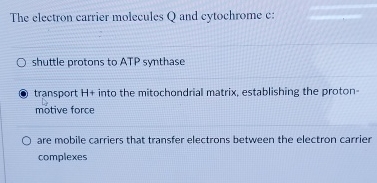 Solved The electron carrier molecules Q and cytochrome c | Chegg.com
