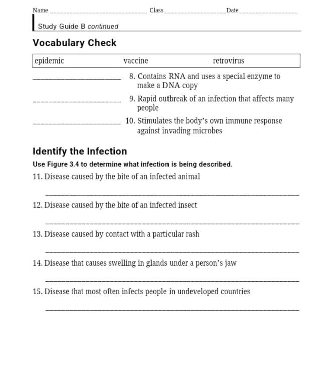 Solved Name Class Date Study Guide B continued Vocabulary | Chegg.com