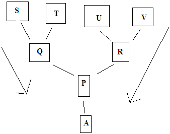Solved Write a program that creates the structure shown in | Chegg.com