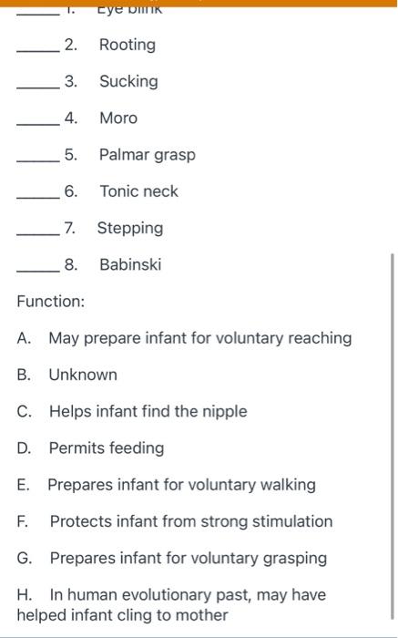 neonatal reflexes