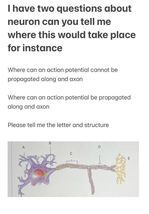 Solved I have two questions about neuron can you tell me | Chegg.com