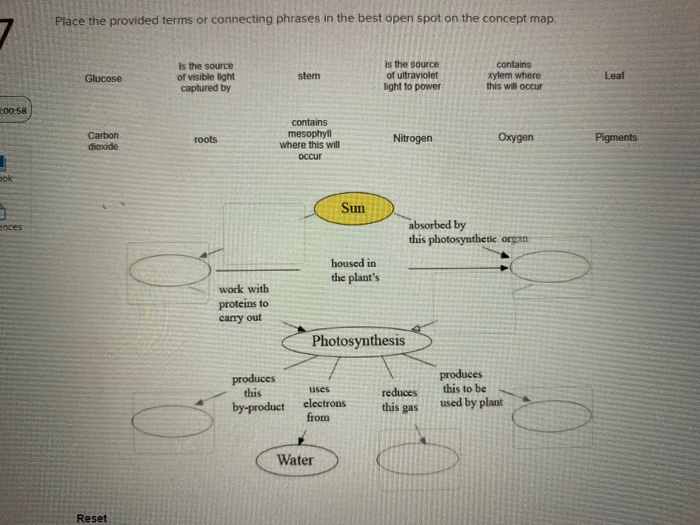 place the provided terms or connecting phrases in the best open spot on the concept map Solved Place The Provided Terms Or Connecting Phrases In place the provided terms or connecting phrases in the best open spot on the concept map