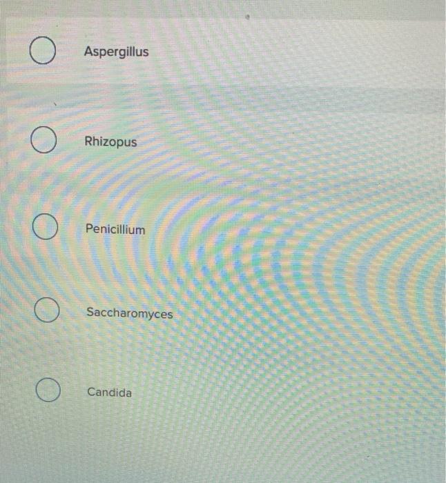 Aspergillus
Rhizopus
Penicillium
Saccharomyces
Candida