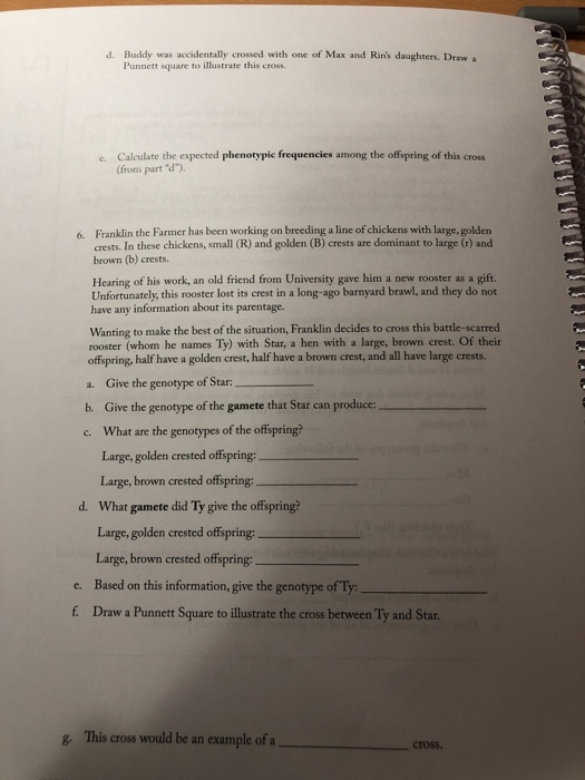 Solved A WURKSHEET 5 Lab 5: Worksheet 1. A Cced Cross Is | Chegg.com