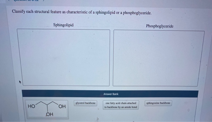 Solved Classify each structural feature as characteristic of | Chegg.com