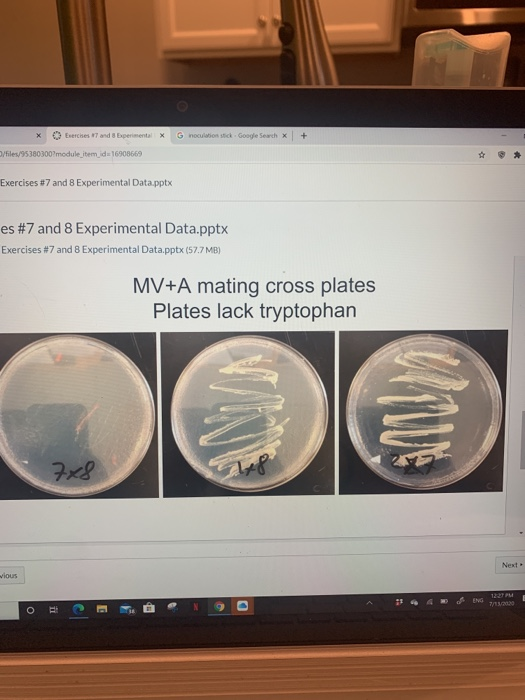 this is all the info for the lab im very confused on | Chegg.com