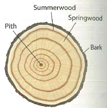 Solved: Each year of its life, a tree grows a new ring just und ...