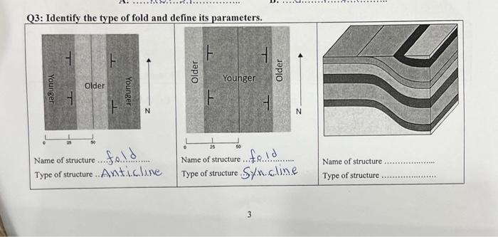 Solved Q3: Identify the type of fold and define its | Chegg.com