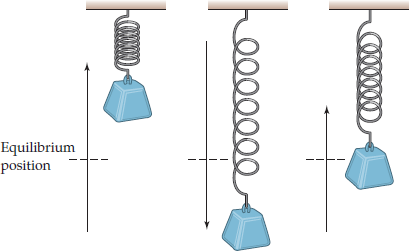 Solved: A weight hanging from a spring is set into motion (see Fig ...