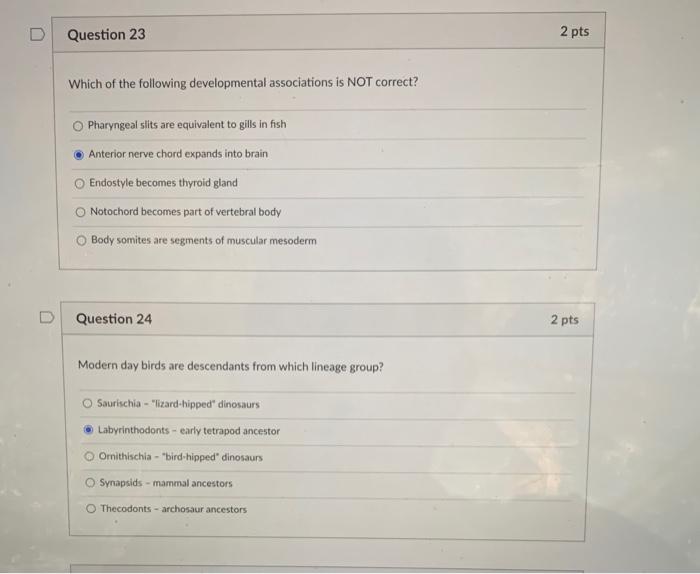 Solved Question 19 2 pts Which of the following | Chegg.com