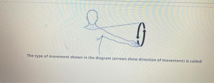 Solved The type of movement shown in the diagram (arrows | Chegg.com