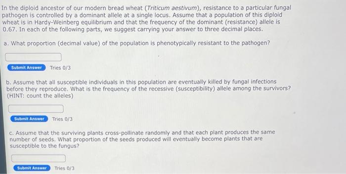 In the diploid ancestor of our modern bread wheat (Triticum aestivum), resistance to a particular fungal pathogen is controll