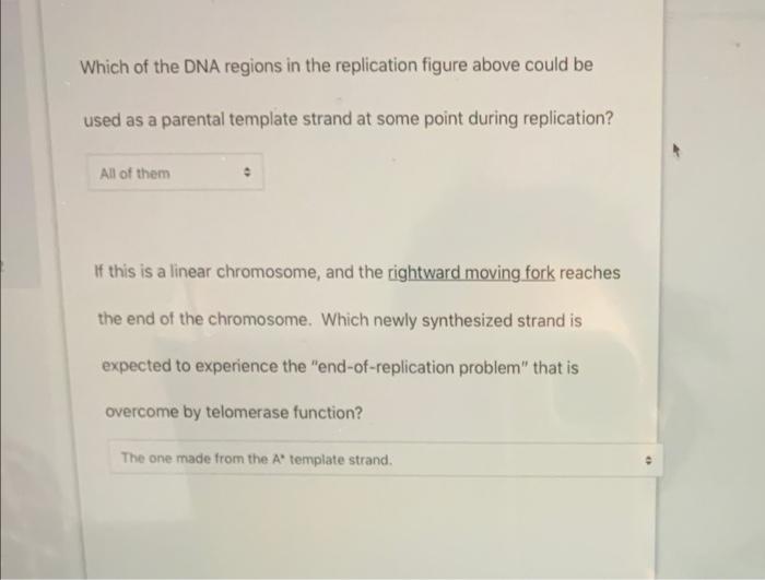 Solved 2 The diagram below represents a replication bubble | Chegg.com
