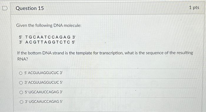 Given the following DNA molecule: 5' TGCAATCCAGAG 3' | Chegg.com