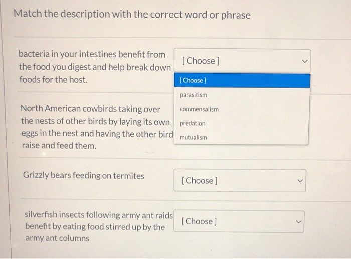 Solved Match the description with the correct word or phrase | Chegg.com