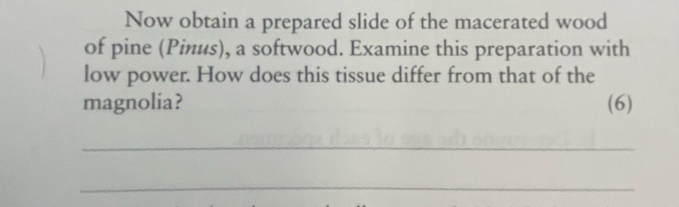 Solved Now obtain a prepared slide of the macerated wood of