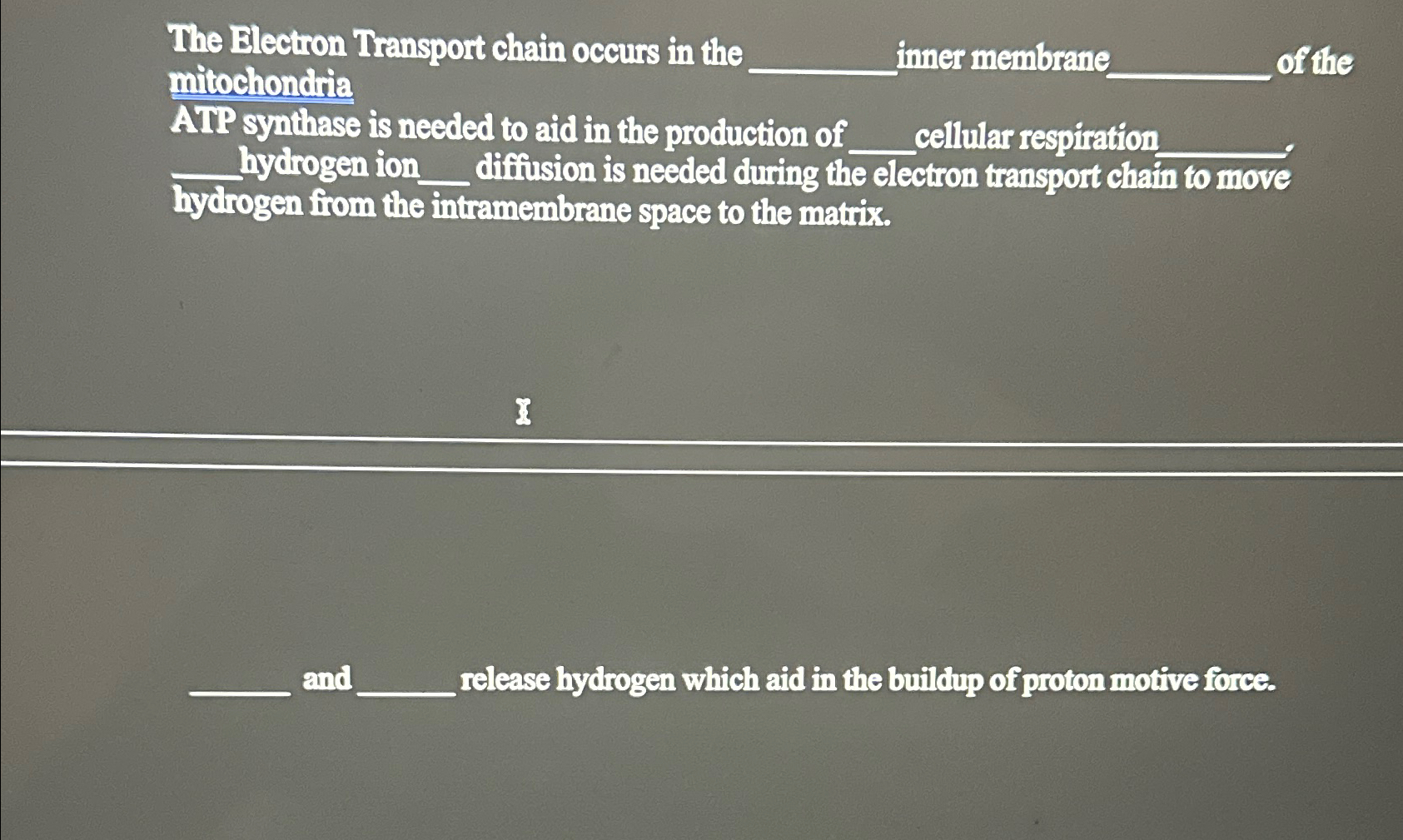 Solved The Electron Transport chain occurs in the inner | Chegg.com