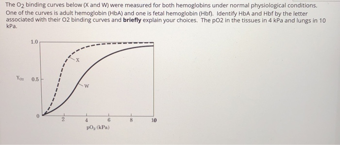 Solved The O2 binding curves below (X and W) were measured | Chegg.com