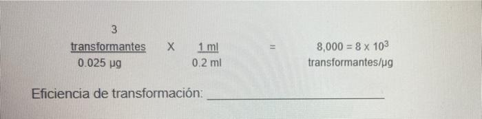 3 transformantes 0.025 ug Х 1 ml 0.2 mi 8,000 = 8 x 103 transformantes/ug Eficiencia de transformación: