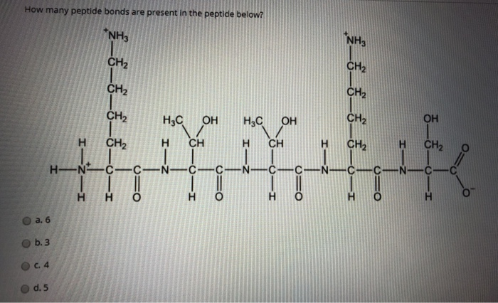 Solved How many peptide bonds are present in the peptide | Chegg.com