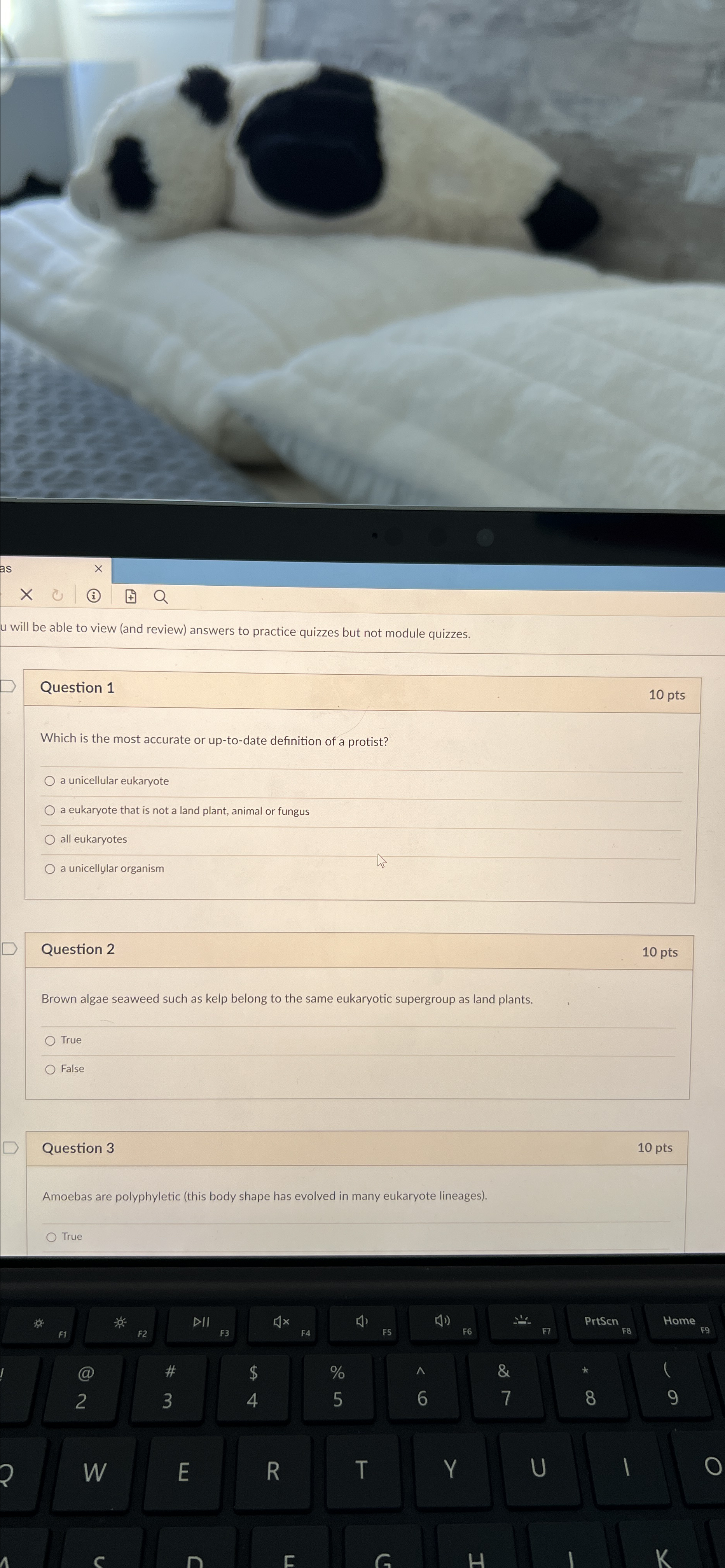 Solved u will be able to view (and review) ﻿answers to | Chegg.com