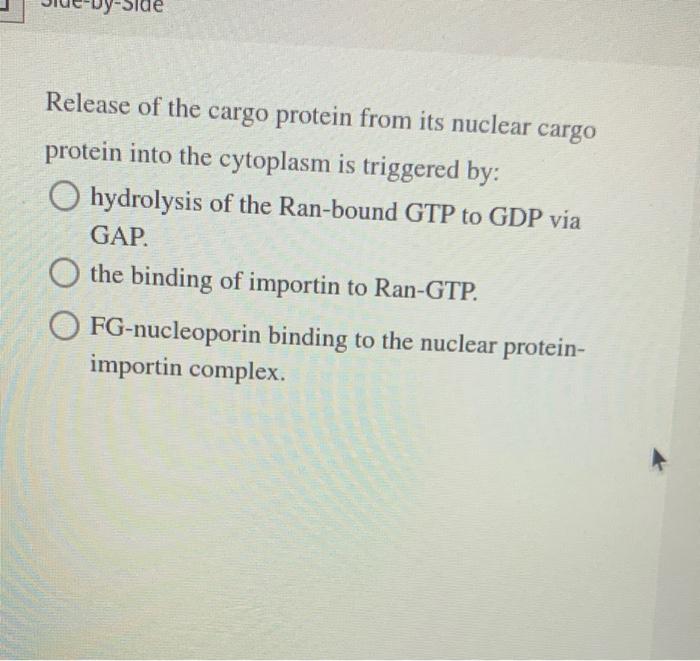 Solved Release of the cargo protein from its nuclear cargo