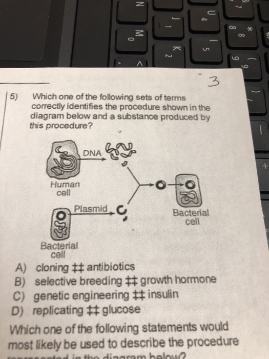 Solved 5) Which one of the following sets of terms correctly