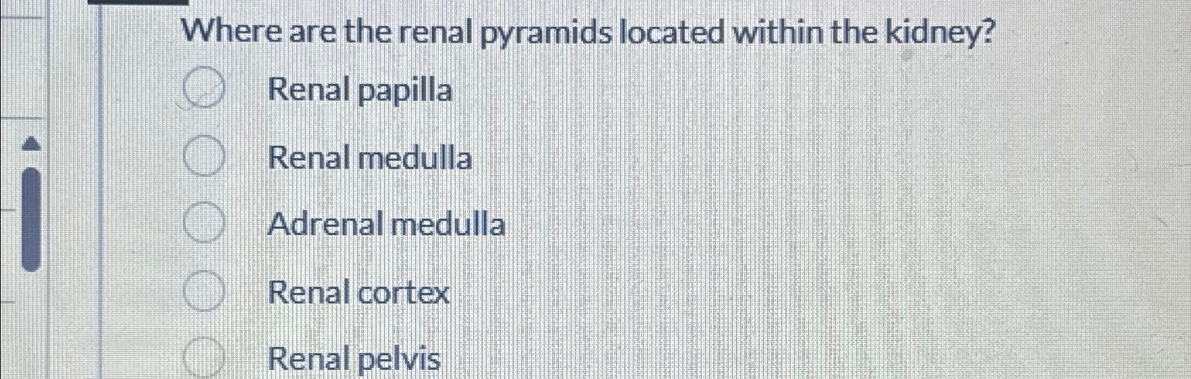 Solved Where are the renal pyramids located within the | Chegg.com