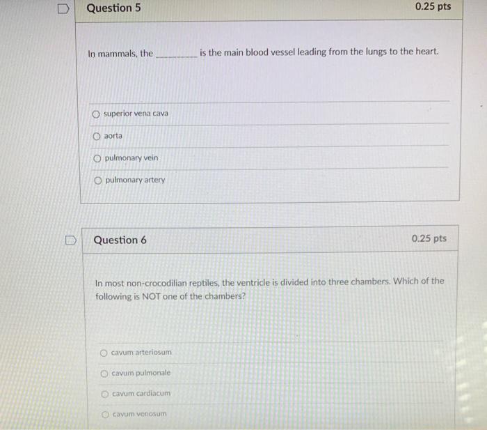 Solved Question 1 0.25 pts Norepinephrine has the following | Chegg.com