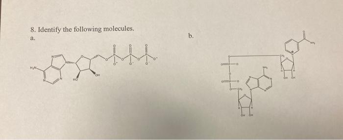 Solved 8. Identify the following molecules. a. in. | Chegg.com