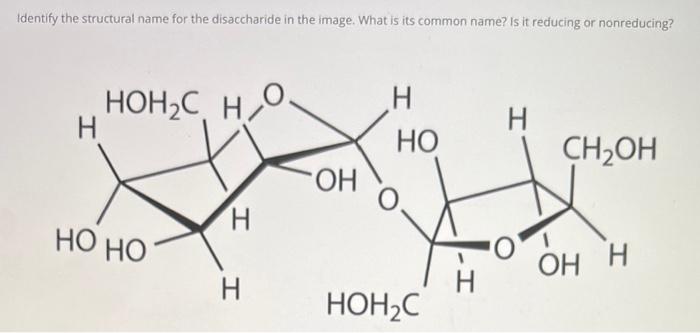 Solved Identify the structural name for the disaccharide in | Chegg.com