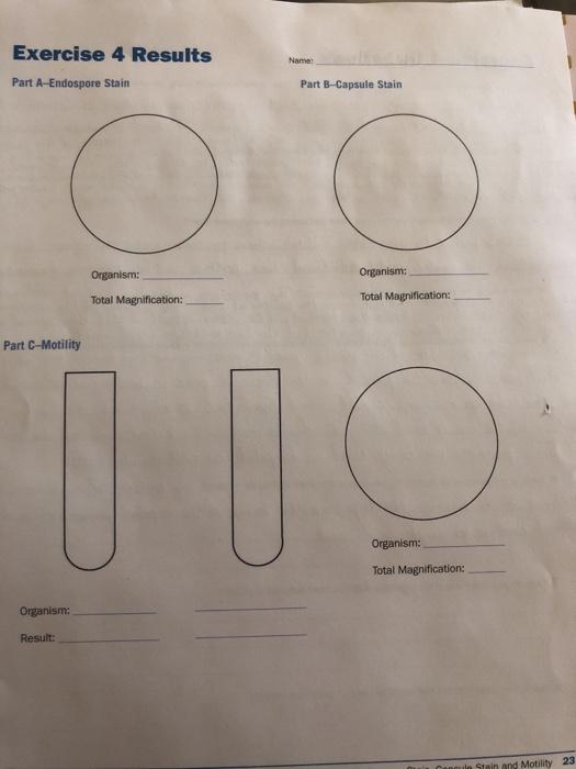 Solved Exercise 4 Results Name: a Part A-Endospore Stain | Chegg.com