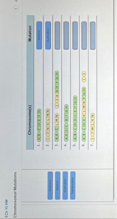 Solved 15HW Chromosomal Mutations | Chegg.com