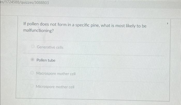Solved es/1724588/quizzes/3088803 If pollen does not form in | Chegg.com