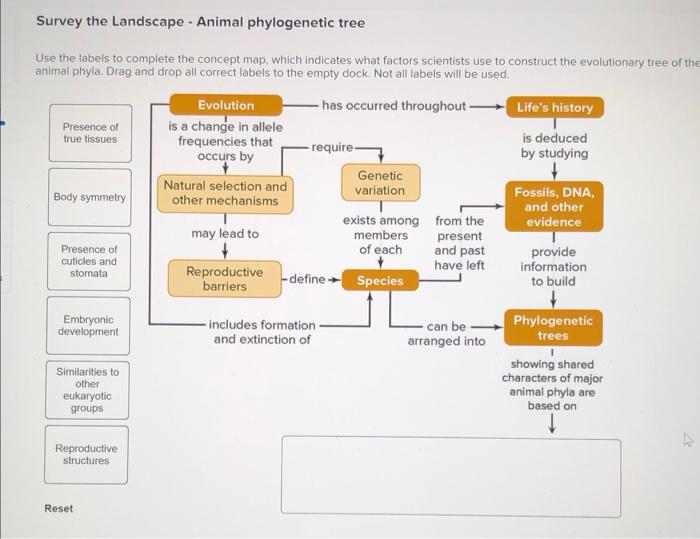 Solved Survey the Landscape Animal tree
