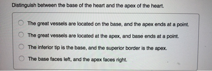 Solved Distinguish between the base of the heart and the | Chegg.com