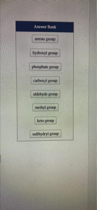 Answer Bank amino group hydroxyl group phosphate group carboxyl group aldeliyde group methyl group keto group sulfhydryl grou