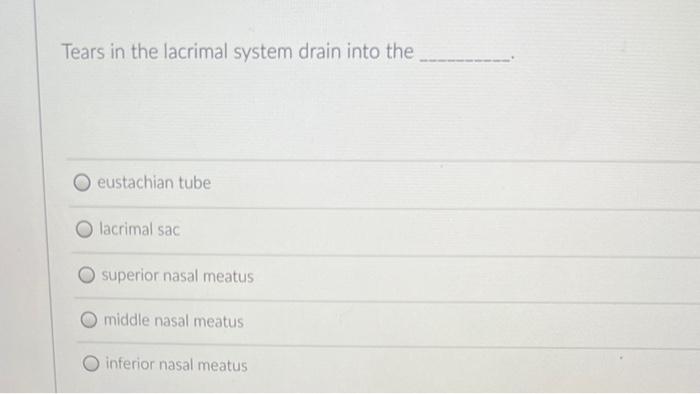 Solved The septum pellucidum secretes cerebrospinal fluid. | Chegg.com