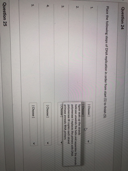 Solved Correctly identify the steps in eukaryotic | Chegg.com
