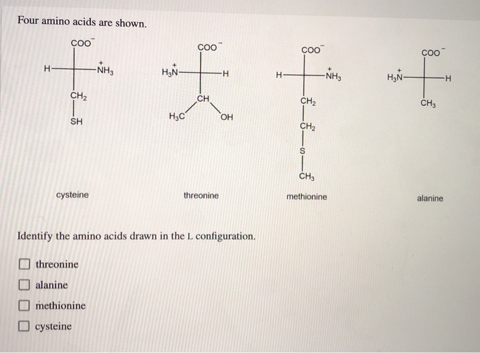 Solved Four amino acids are shown. coo coo coo NH₃ NH H₂Ñ