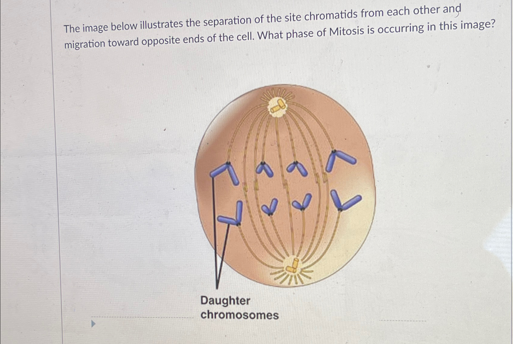 Solved The image below illustrates the separation of the | Chegg.com