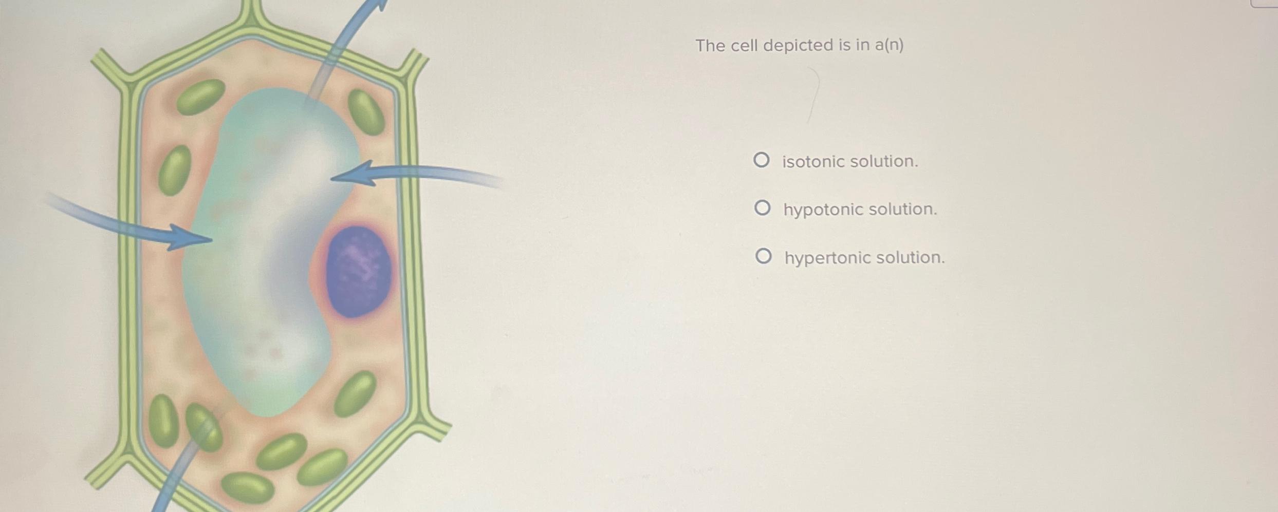 Solved The cell depicted is in a(n)isotonic