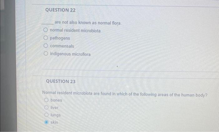 Solved please help me with all the question real quick its | Chegg.com