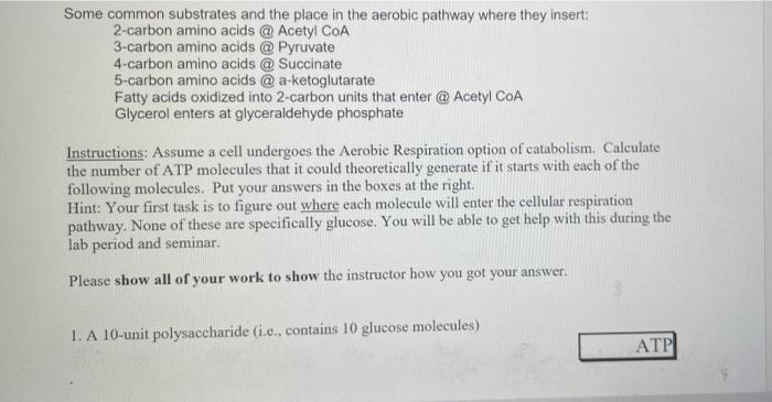 Solved Some common substrates and the place in the aerobic | Chegg.com