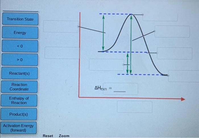 Solved Label The Following Reaction Coordinate Diagram Chegg Com