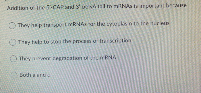 Solved Addition of the 5'-CAP and 3-polyA tail to mRNAs is | Chegg.com