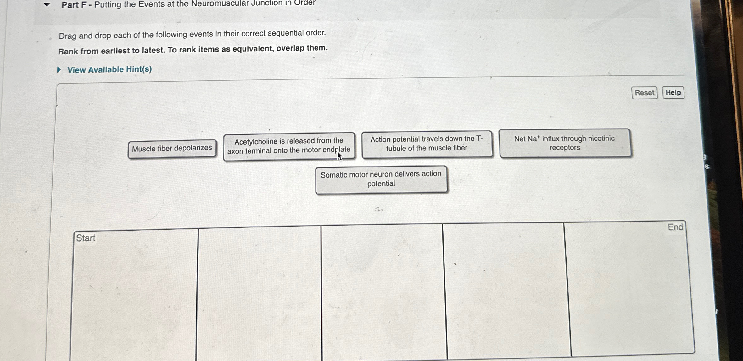 Solved - ﻿Identifying the Function of Certain Parts of the | Chegg.com