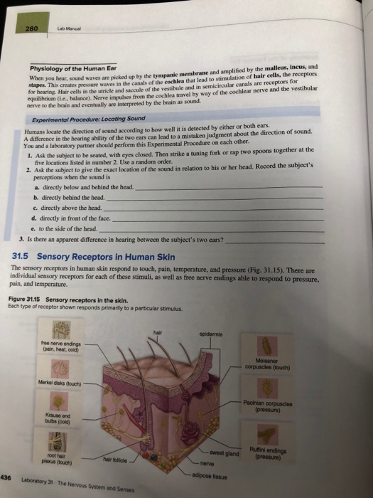 Solved 280 Lab Mar Physiology of the Human Ear when you | Chegg.com